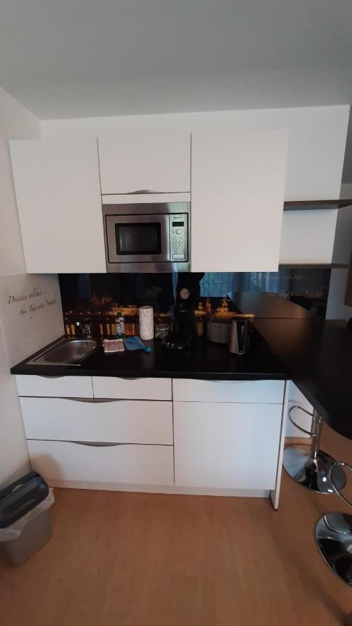Appartements Am Schillergarten Dresden Dış mekan fotoğraf
