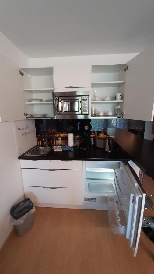 Appartements Am Schillergarten Dresden Dış mekan fotoğraf
