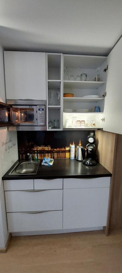 Appartements Am Schillergarten Dresden Dış mekan fotoğraf