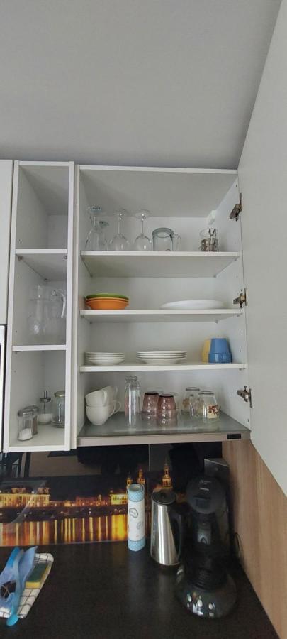 Appartements Am Schillergarten Dresden Dış mekan fotoğraf